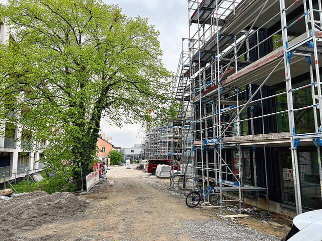 Alte Bäume bleiben erhalten. Ab Herbst wird die Außenanlage noch zusätzlich begrünt.