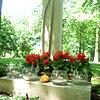 Vergangenen Samstag fand auf dem Waldfriedhof der jährliche ökumenische Gottesdienst für Sternenkinder statt. Bild: Brigitte Chymo