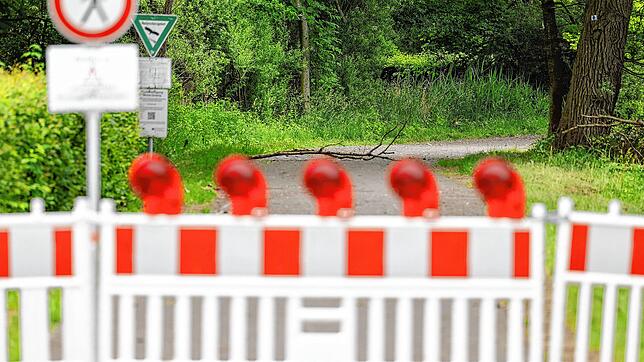 Da liegt schon der nächste Ast auf dem gesperrten Radweg zwischen Moos und Iznang. Schon bald sollen aber Bäume zurückgeschnitten und ...