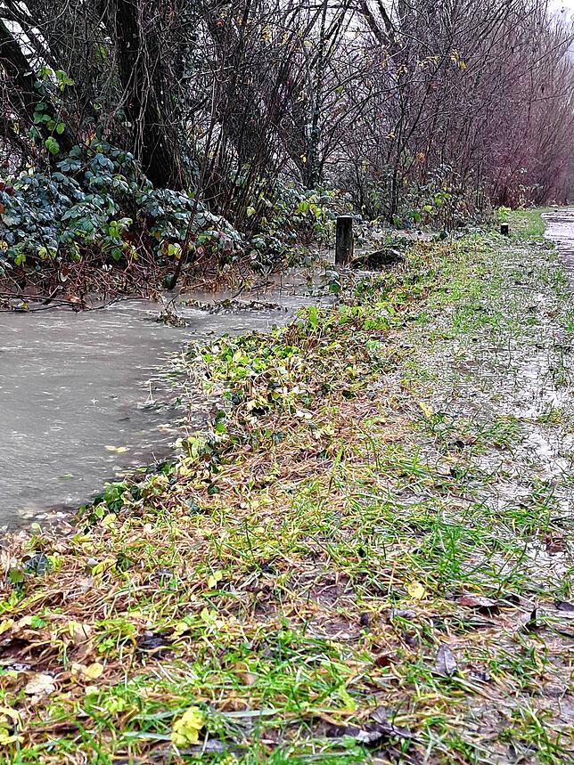 Stellenweise tritt der Rhein über die Ufer.