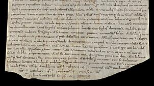 Die im Stiftsarchiv St. Gallen archivierte Kopie der Urkunde, in der der Blumberger Stadtteil Achdorf erwähnt wird. Quelle: Stiftsarchiv ...