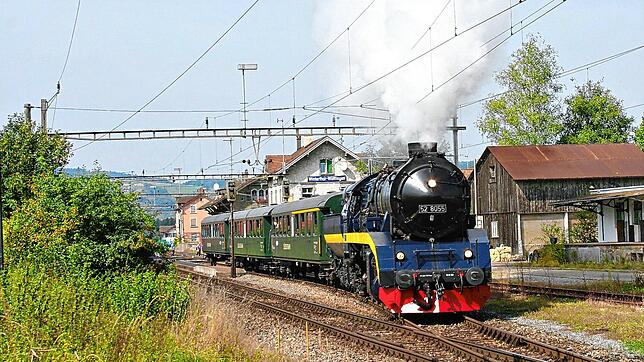 Die Eisenbahnfreunde Zollernbahn begeistern im Schwarzwald immer wieder mit ihren Dampfrössern. Bild: EFZ