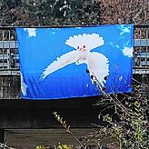 Die jetzt an der Westtangente angebrachte Fahne sieht genau so aus wie die vor einem Jahr verwendeten Exemplare.
