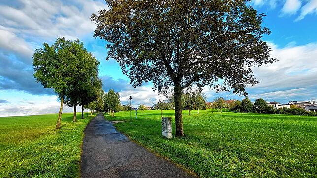 Blick auf den Spazierweg in Richtung Blenklepass. Nach rechts zweigt der Fußweg zum Wohngebiet auf Bühl ab. Der Weg ist für Autofahrer tabu.