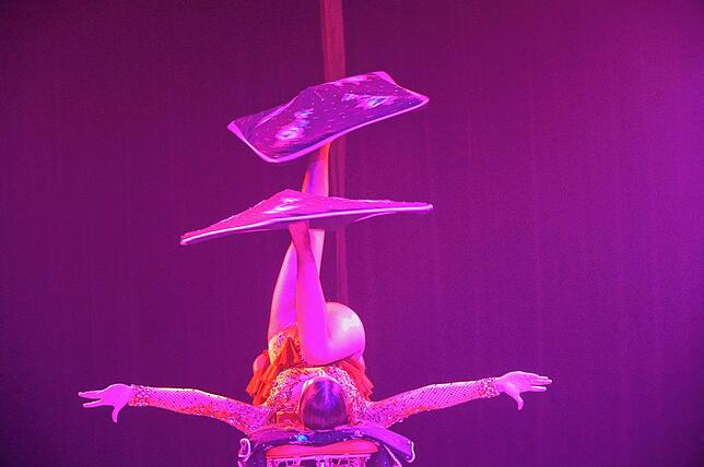 Bild 6: Zirkus Rudolf Renz begeistert in Tengen