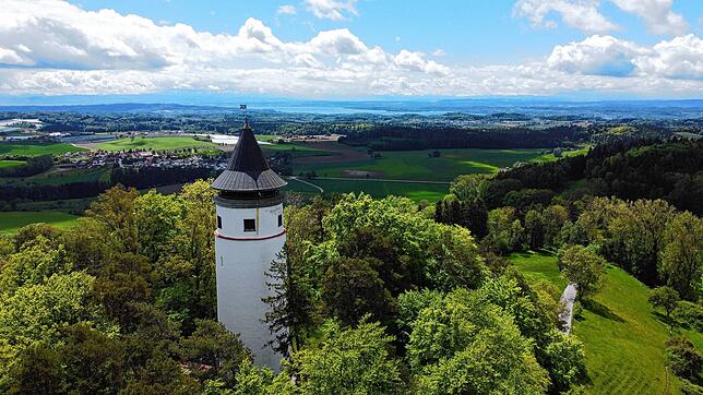 Der Aussichtsturm Hohenbodman.