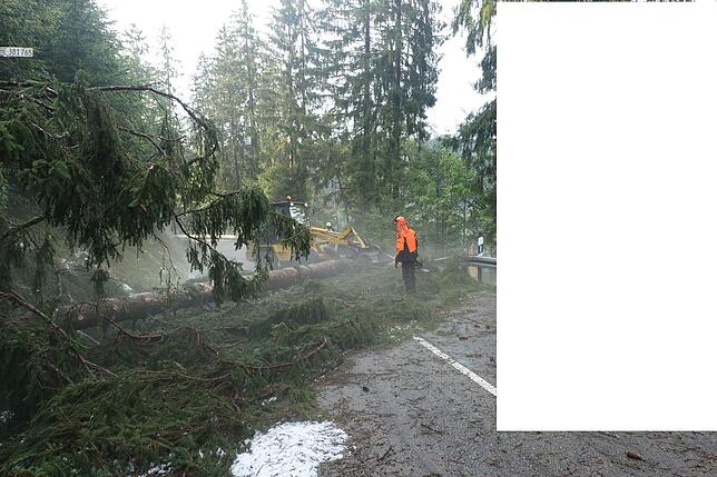 Bild 9: Die Folgen des Unwetters rund um Bonndorf am Freitag, 26. Juli 2019