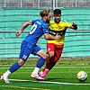 Bild :