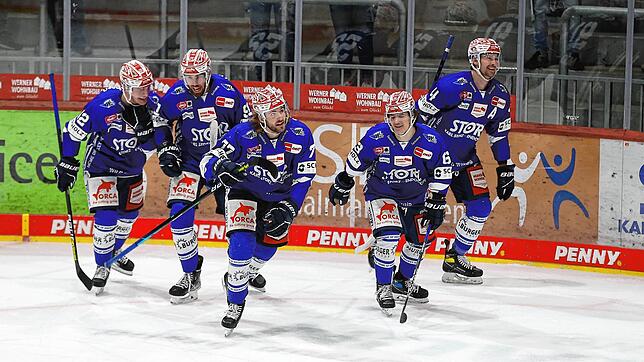 Heiß auf die Playoffs: Die Spieler der Wild Wings.