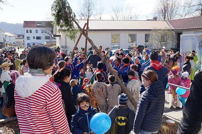 Bild 26: Bilder vom Kinderumzug- und Kinderball in Ludwigshafen