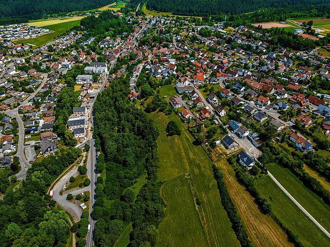 Blick über das Eschachtal nach Osten auf auf den Ortskern von Niedereschach.