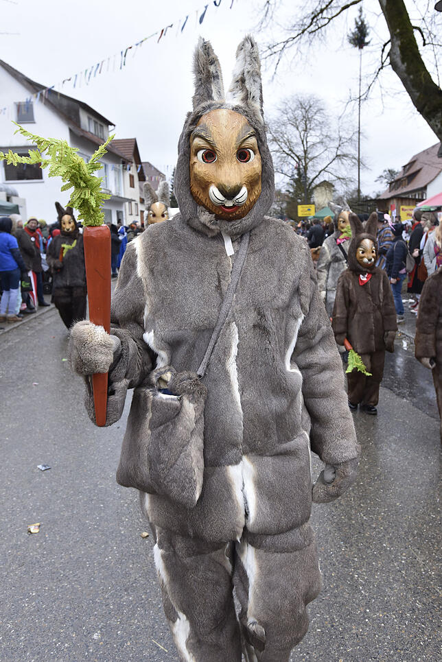 Bild 17: Bilder des großen Umzugs bei den Hattinger Narrentagen