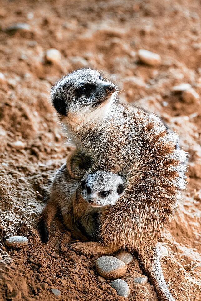 Kuscheln mit Mama.