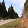 Der Kahlschlag am Waldrand kündigt weitere Arbeiten an. Auf dieser Fläche wird eine knapp fünf Kilometer lange Druckleitung verlaufen, ...