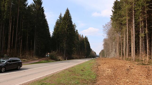 Der Kahlschlag am Waldrand kündigt weitere Arbeiten an. Auf dieser Fläche wird eine knapp fünf Kilometer lange Druckleitung verlaufen, ...