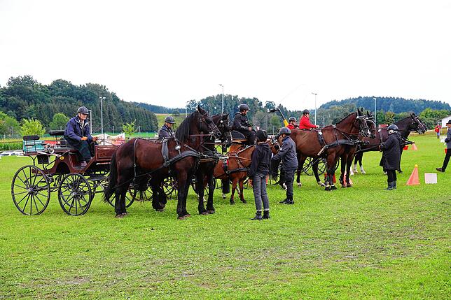 Nach jedem Wettkampf wurden die erfolgreichsten Reiter und Fahrer ausgezeichnet.