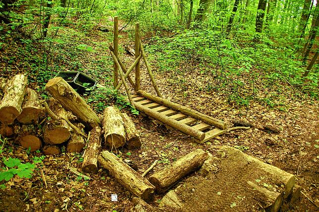 Im Wald lagern Holz und Rampen, die für Trails benötigt werden.