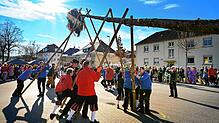 Denkbar: Narrenbäume stellen, wie es hier die Radolfzeller Froschenzunft vormacht.