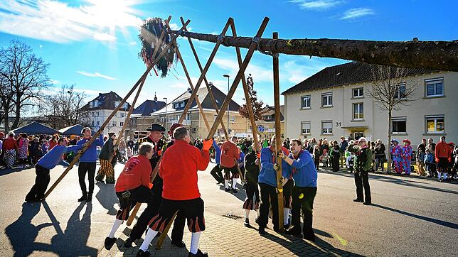 Denkbar: Narrenbäume stellen, wie es hier die Radolfzeller Froschenzunft vormacht.