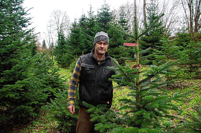 Jörg Steinhäusler steht auf einer seiner Anbauflächen in Öhningen. Zwischen 1000 und 1500 Bäume pflanzt er jedes Jahr.