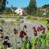 Von dunklem Merlot-Rot bis zu Hellgelb reicht der Farbverlauf auf dieser Seite.