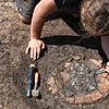 Ein Mitarbeiter der beauftragten Fachfirma sichert einen Fund im Areal an der Hondinger Straße. Die Archäologen gehen davon aus, dass ...