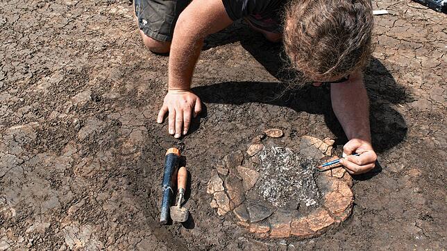 Ein Mitarbeiter der beauftragten Fachfirma sichert einen Fund im Areal an der Hondinger Straße. Die Archäologen gehen davon aus, dass ...