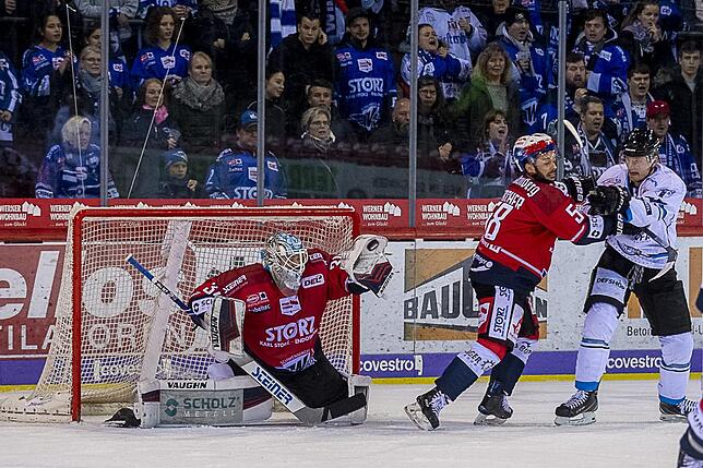 Bild 36: Die Wild Wings siegen wieder in der Deutschen Eishockey-Liga