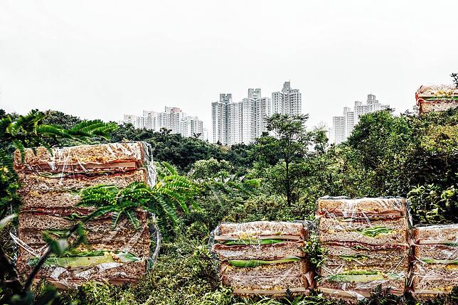 Tina Sturzenegger: &bdquo;HKG Sandwiches (limited edition 6)&ldquo;.
