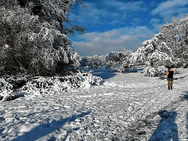 Bild 9: Was für ein Wintereinbruch am Bodensee: Die schönsten Schnee-Bilder vom Wochenende