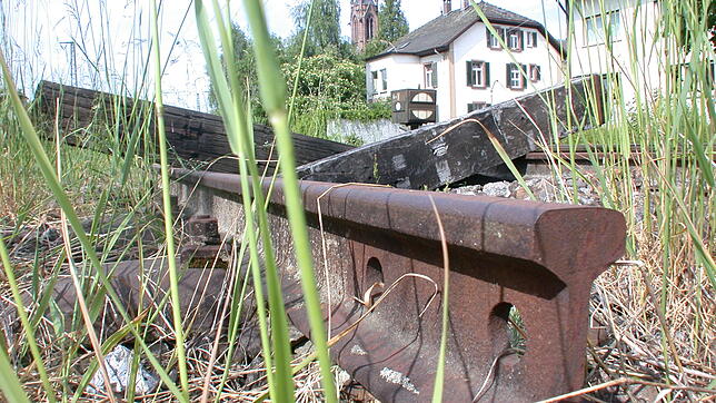 Dornröschenschlaf: Die Bahnstrecke durchs Wehratal ist zwar noch vorhanden, doch stark sanierungsbedürftig.