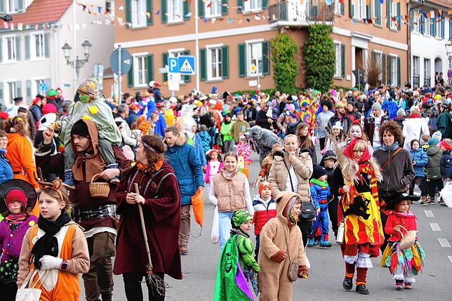 Bild 41: Bilder vom Fasnetssunntig-Umzug in Markdorf (Teil 1)