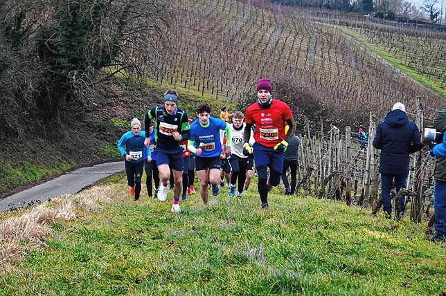 Bild 17: Bilder vom Crosslauf Hegau-Bodensee in den Reben oberhalb der Haltnau