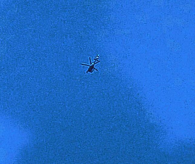 Hubschrauber kreisen über Lörrach. Am 10. August wurde eine Fliegerbombe bei Bauarbeiten entdeckt, die am Abend entschärft wurde.