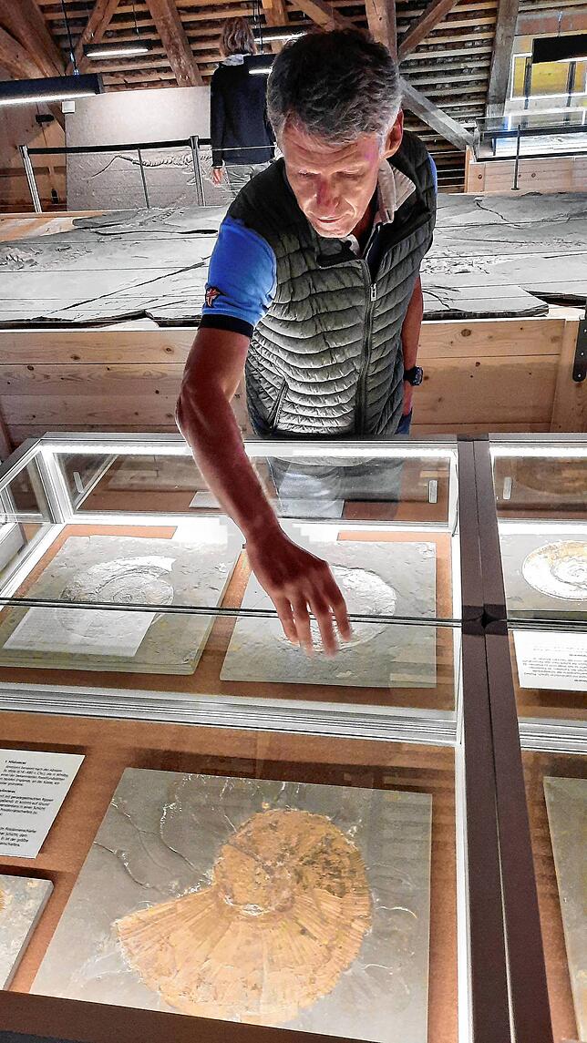 Wolfram Jänisch macht die Führungen im Urweltmuseum. Hier erklärt er die Ammoniten, die zwar die Schnecken aussehen, aber zur Gattung ...