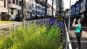 So sollte der Bifig-Seitenkanal nach der Umgestaltung laut einer Visualisierung der Stadtverwaltung aussehen: frisches luftiges Grün und ...