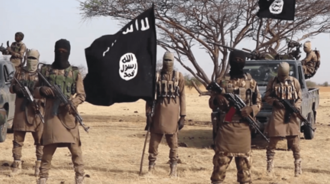 Hochgerüstete Boko Haram-Kämpfer posieren in Nigeria mit Flagge und Militärgerät.