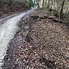 Problematisch: Verstärkt beobachten die Förster Rutschungen im Gelände, durch die die Waldwege stark in Mitleidenschaft gezogen werden.