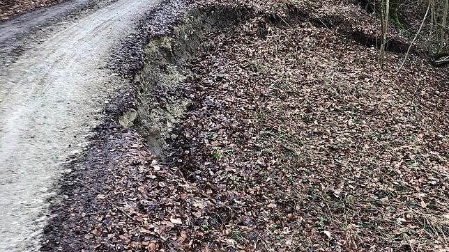 Problematisch: Verstärkt beobachten die Förster Rutschungen im Gelände, durch die die Waldwege stark in Mitleidenschaft gezogen werden.