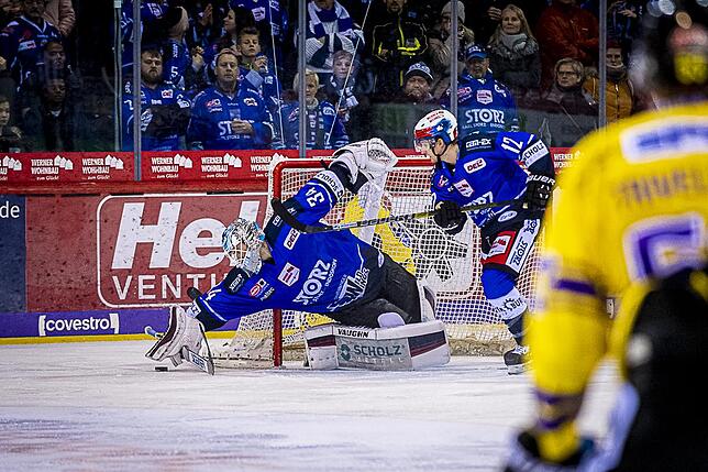 Bild 20: Bilder: Wild Wings vs. Krefeld Pinguine