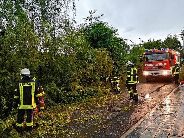In Eigeltingen war die Feuerwehr im Einsatz, um eine Weide von der Krebsbachstraße zu räumen.