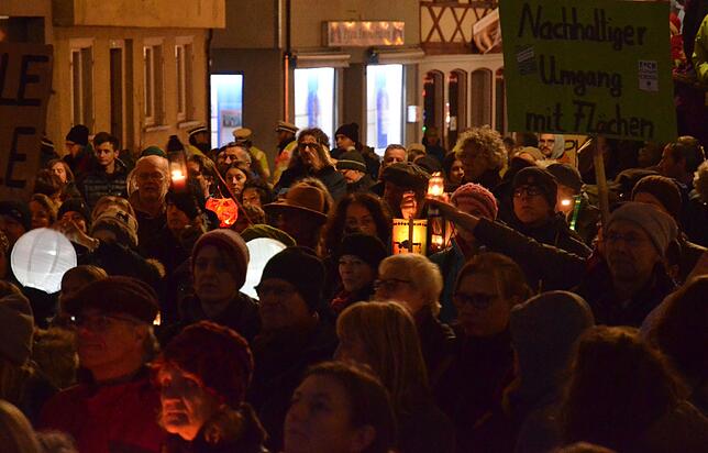 Bild 27: Bilder von der zweiten Klima-Demo in der Markdorfer Innenstadt