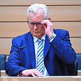 Bernd Gögel, AfD