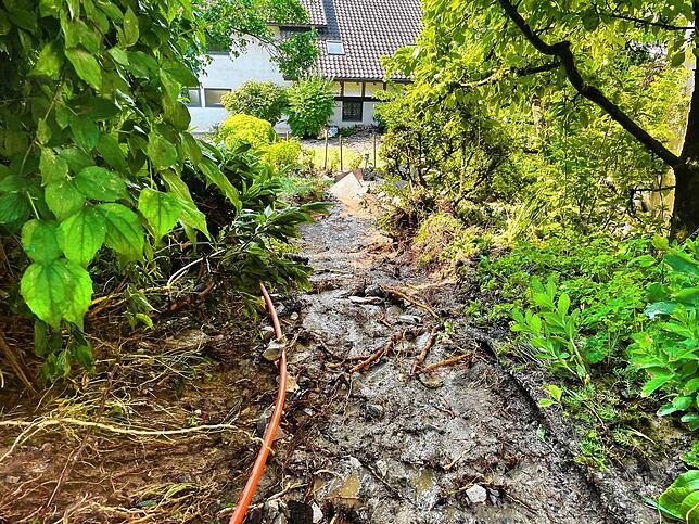 Der Garten von Rita Kistler in der Schubertstraße in Waldshut. Noch gestern glich es hier einem Blumenparadies, jetzt ist ihr Garten ...