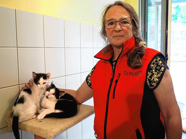 Anja Fuchs ist die Tierheimleiterin und stellvertretende Vorsitzende des Tierschutzvereins Waldshut-Tiengen, hier mit Maddy und Joni.