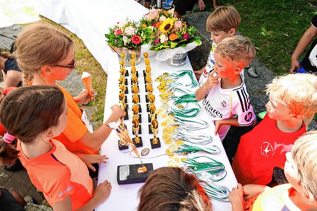 Bild 3: Hier sind die schönsten Bilder vom Schienerberglauf