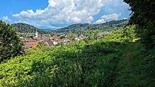 Wo jetzt Büsche und Hang sind, soll das Neubaugebiet Schiltbühl II mit Seesicht entstehen.