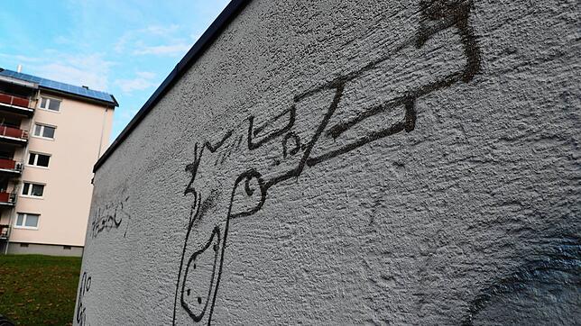 Welche Entwicklung nimmt das Quartier in Wollmatingen, in dem es Anzeichen für Bandenbildungen gibt?