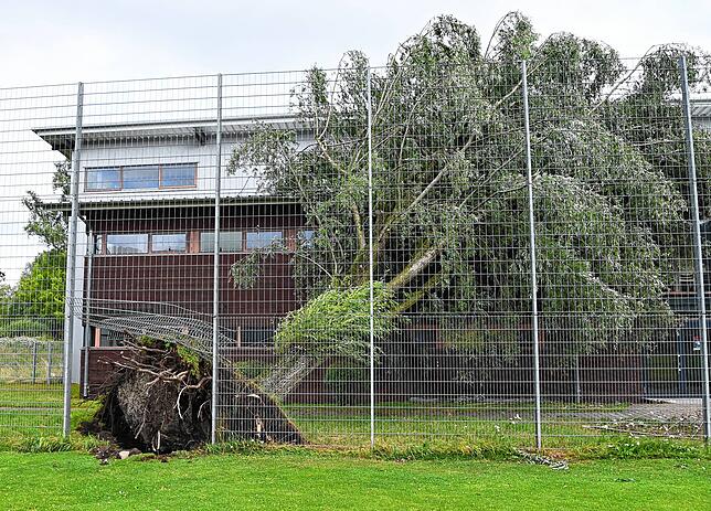 Ein Baum ist gegen die Sporthalle Bodman gefallen.