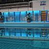 Leere Schwimmbecken: So wie hier bei der Revision im Sommer wird es in den kommenden Wochen auch im Villinger Hallenbad und im Neckarbad ...